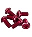 ASHIMA ALLOY TORX ROTOR BOLTS RED