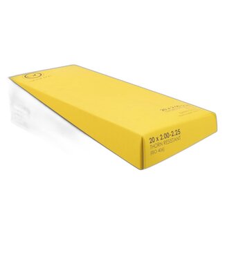 20X2.00-2.25 SHRADER VALVE