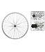 Wheel Master 26X1.5 559X19 Alloy Rear Wheel