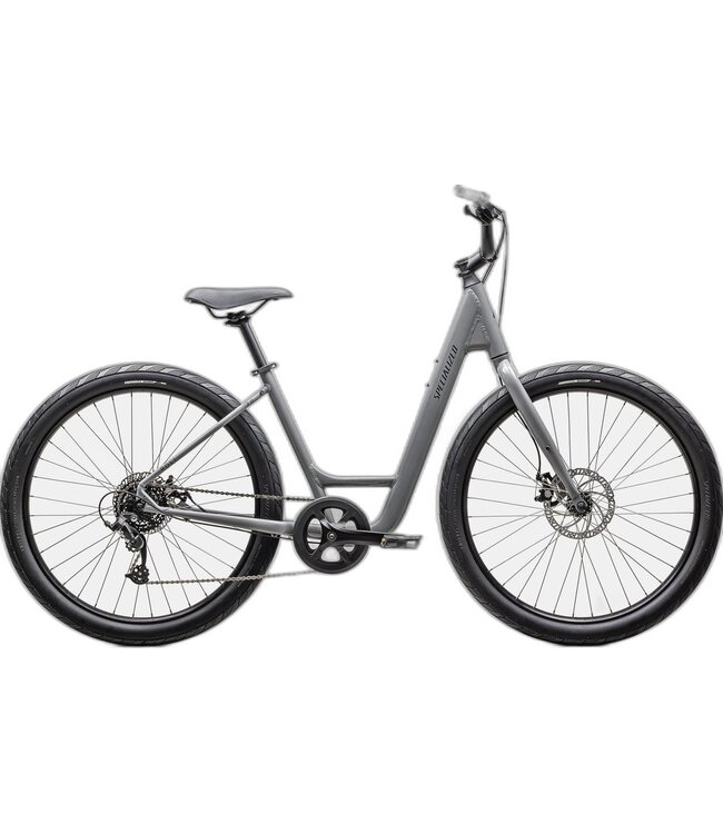 SPECIALIZED Specialized ROLL 2.0 LOW ENTRY CLGRY/SMK S