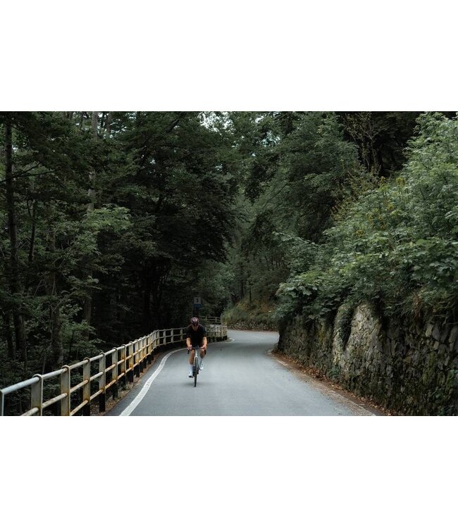 Ceramicspeed BB ALPHA for BB86 SRAM DUB Road Stainless Steel