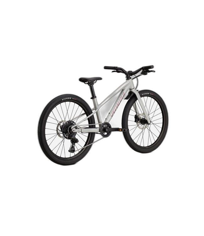 SPECIALIZED Specialized RIPROCK 24 DLMMET/QTZMET 24