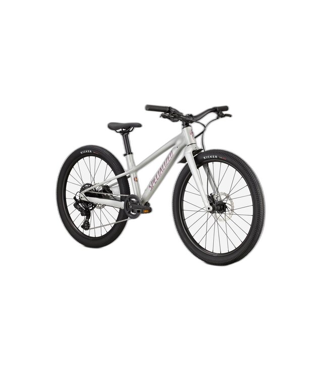 SPECIALIZED Specialized RIPROCK 24 DLMMET/QTZMET 24