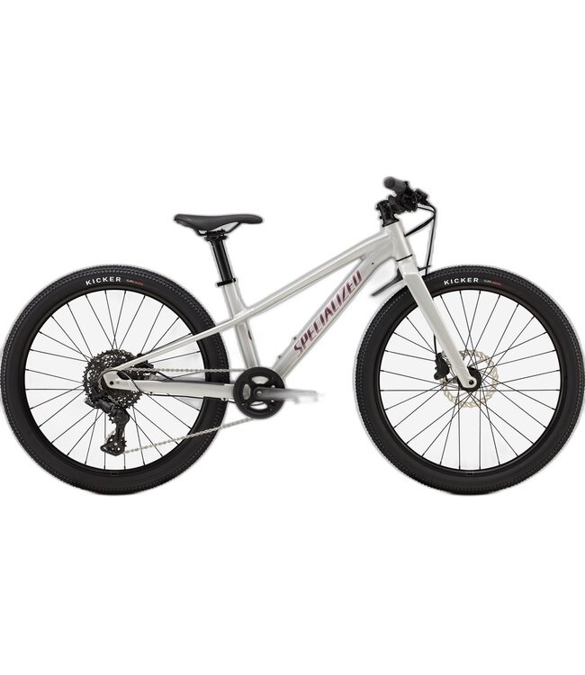 SPECIALIZED Specialized RIPROCK 24 DLMMET/QTZMET 24