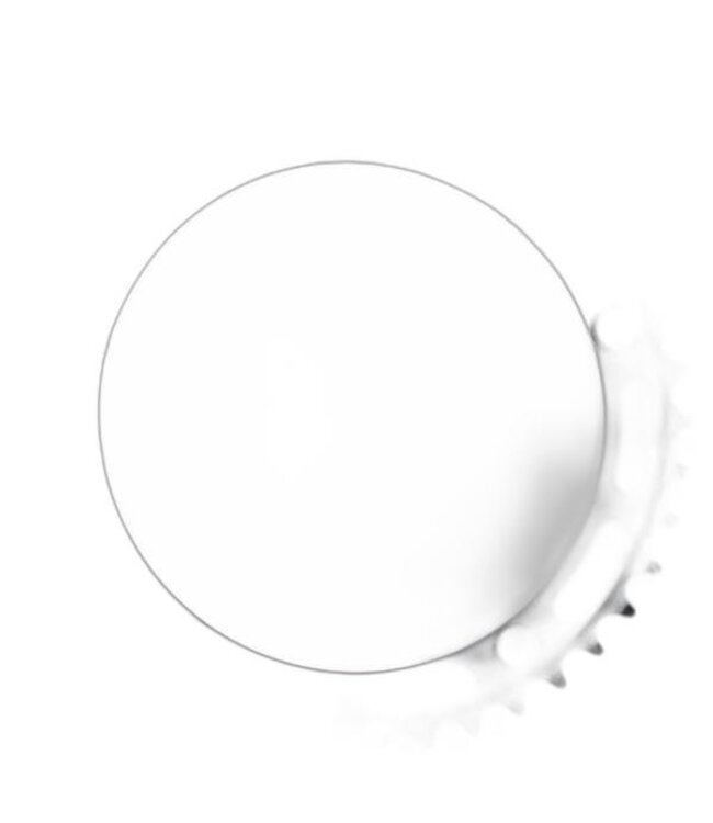 CHAINRING OR8 144mm 53T ALY TRK 1/8 SL