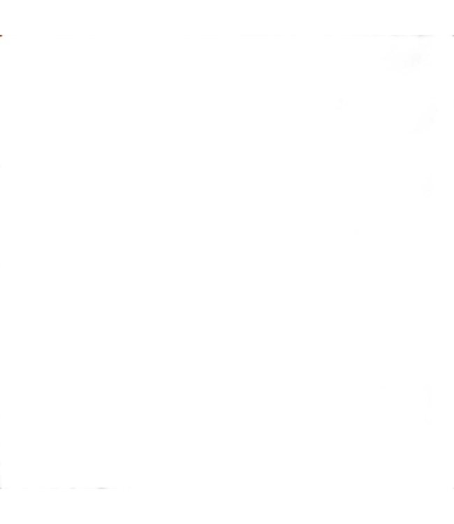 FOX RACING Fox Racing RACEFRAME IMPACT SB, CE D3O [BLK] L/XL