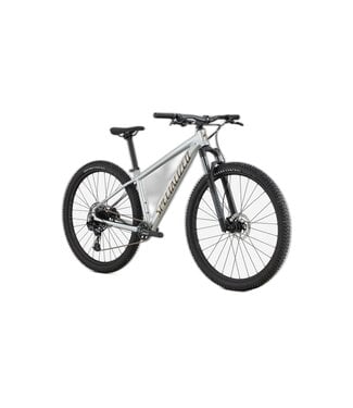 SPECIALIZED Specialized ROCKHOPPER EXPERT SILDST/BNTGLDMET M - 29
