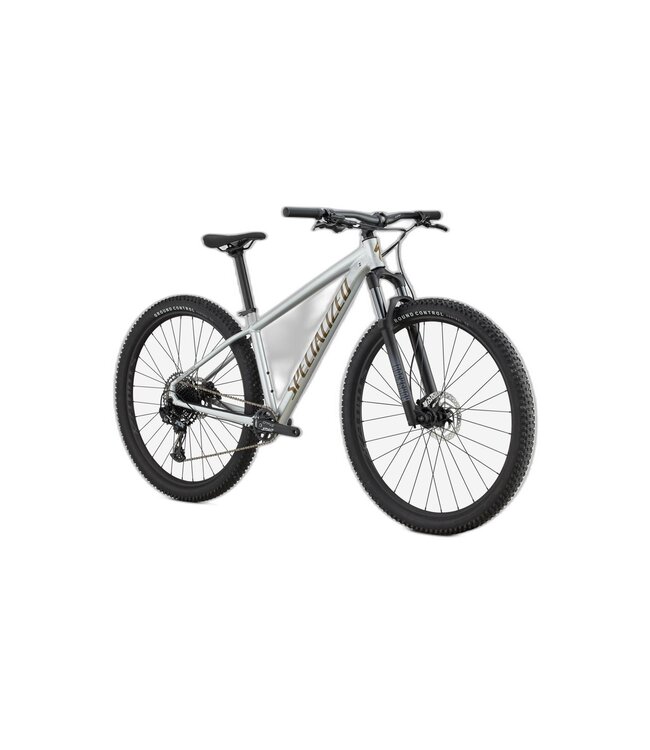 SPECIALIZED Specialized ROCKHOPPER EXPERT SILDST/BNTGLDMET M - 29