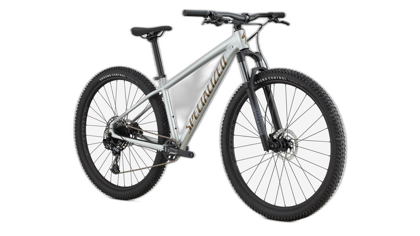 Specialized ROCKHOPPER EXPERT SILDST/BNTGLDMET M - 29 | No