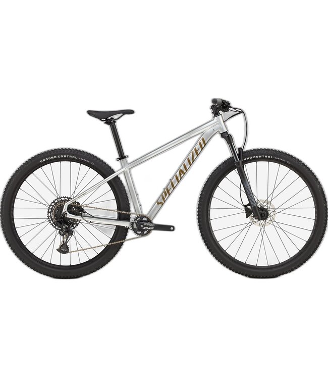 SPECIALIZED Specialized ROCKHOPPER EXPERT SILDST/BNTGLDMET M - 29