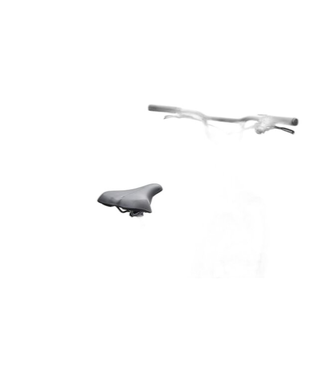 SPECIALIZED Specialized Roll 3.0 Low Entry  Gloss Majesty Blue / Dolomite Metallic Medium