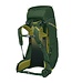 Osprey Packs Ace 50 Green Canopy OS