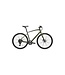 SPECIALIZED Specialized SIRRUS X 2.0 KM LRLGRNMET/SNDSTNMET Large