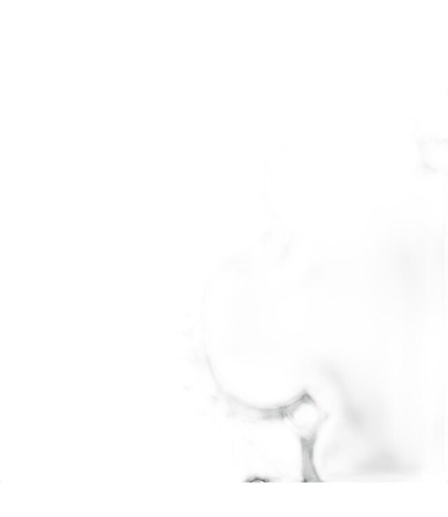 Campagnolo 53 Tooth 10 Speed 135 BCD Chainring