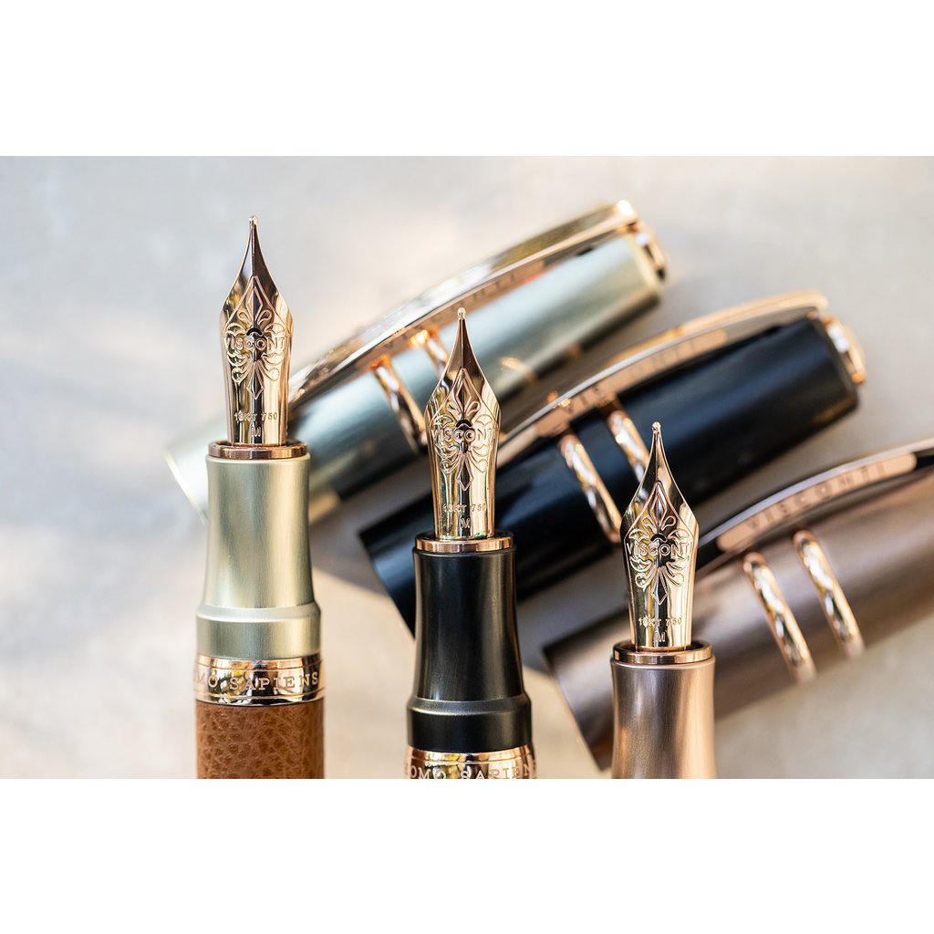 Visconti Visconti Homo Sapiens Dual Touch Black Fountain Pen