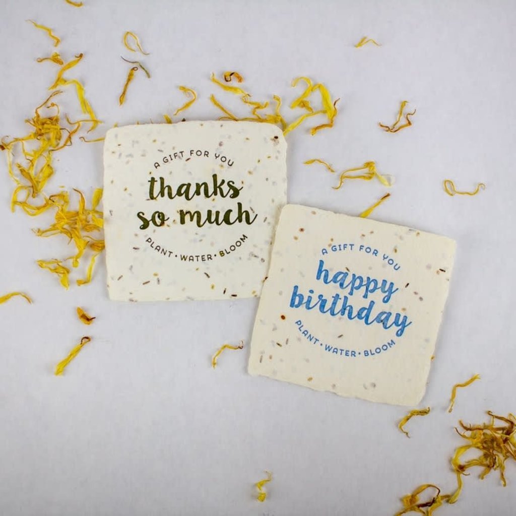 Oblation Papers & Press Thanks Petite Wildflower Wish Letterpress Enclosure