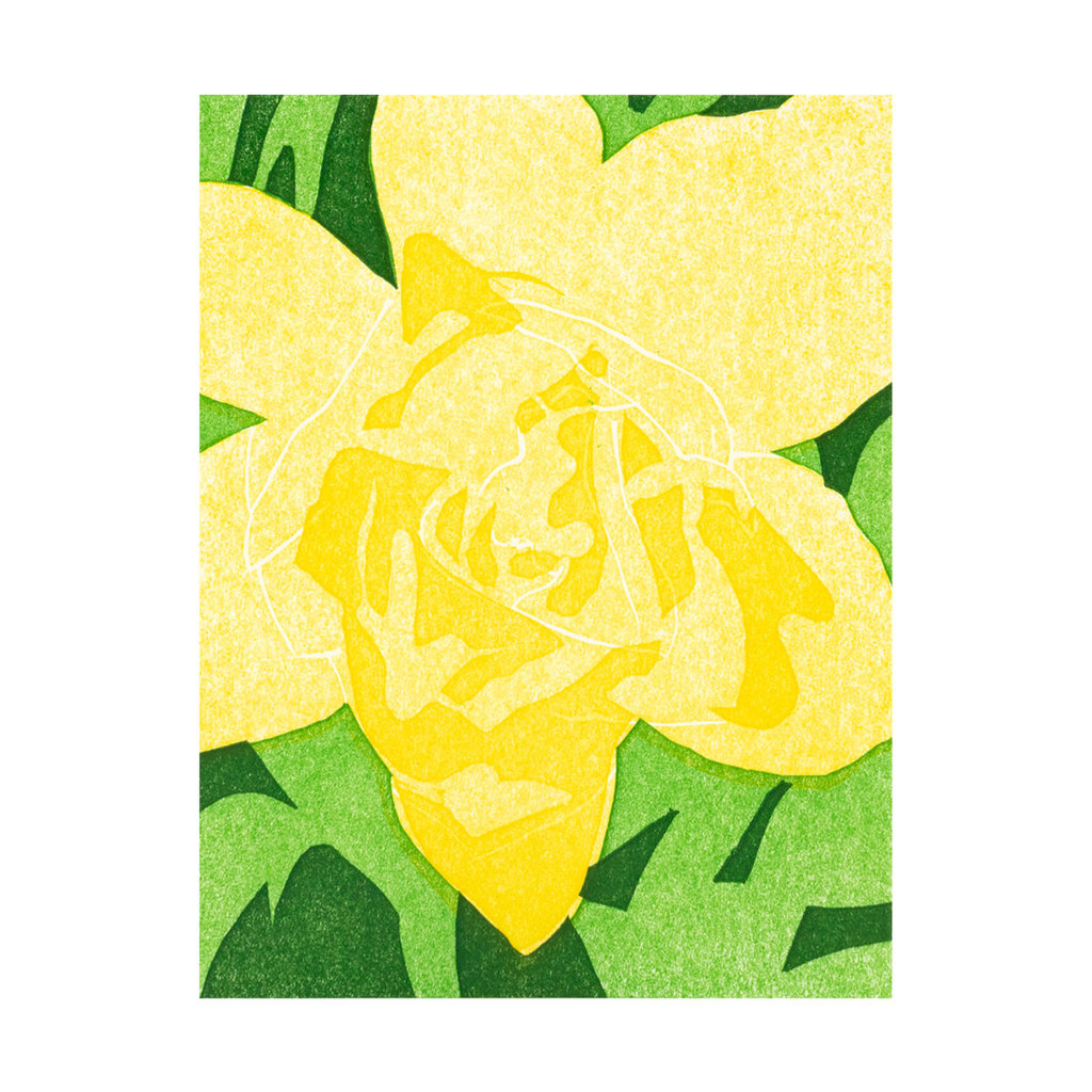 PushMePullYou Press Daffodil Up Close Letterpress Card