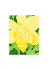 PushMePullYou Press Daffodil Up Close Letterpress Card