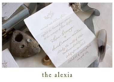 The Alexia Suite