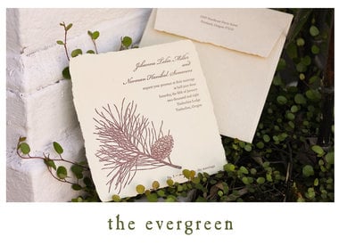 The Evergreen Suite