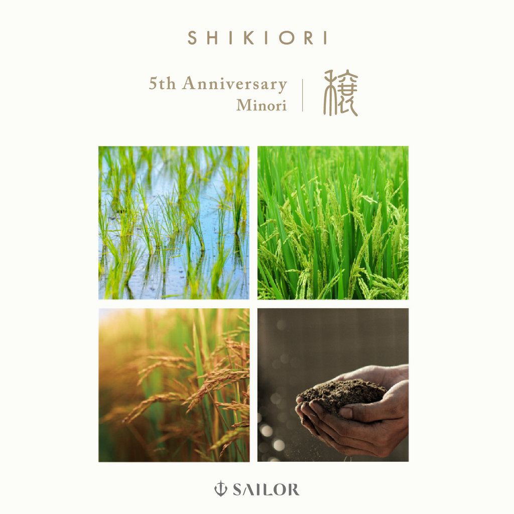 Sailor Sailor Shikiori 5th Anniversary Minori Limited Edition Fountain Pen with Ink Medium Fine