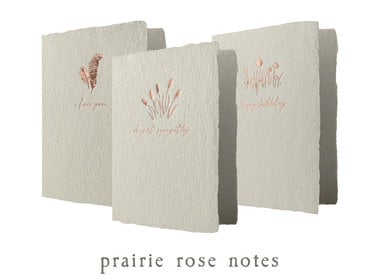 Prairie Rose Notes