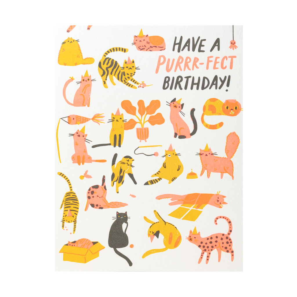 Hello! Lucky Purr-fect Birthday Letterpress Card