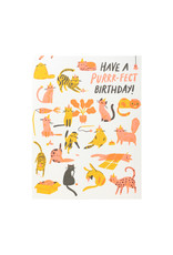 Hello! Lucky Purr-fect Birthday Letterpress Card