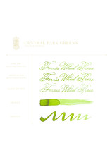 Ferris Wheel Press Central Park Green Bottled Ink 38ml