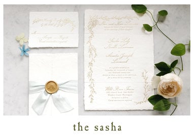 The Sasha Suite