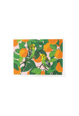 Smudge Ink Parakeets in Orange Tree Note Card