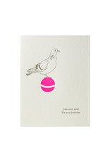 Lark Press Coo. Coo. Cool Birthday Letterpress Card