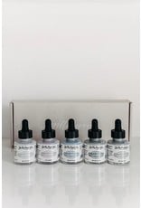 Written Word Calligraphy Ink Set of 5 Cool Tone