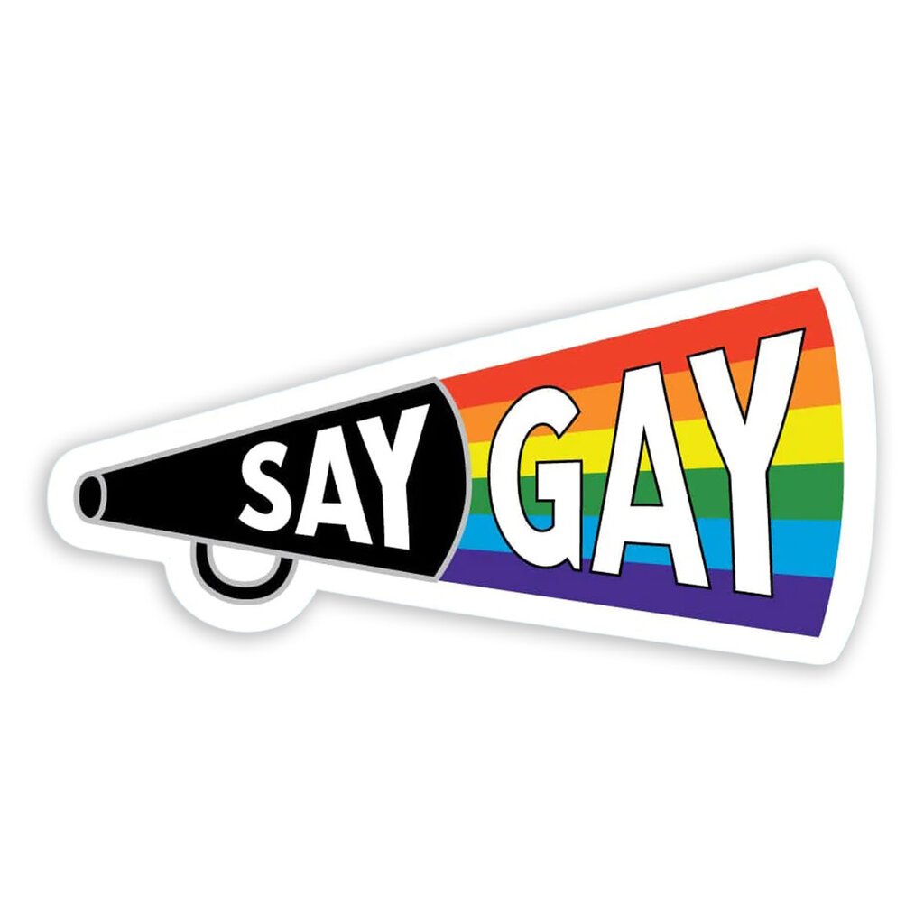 Dissent Pins Say Gay Sticker