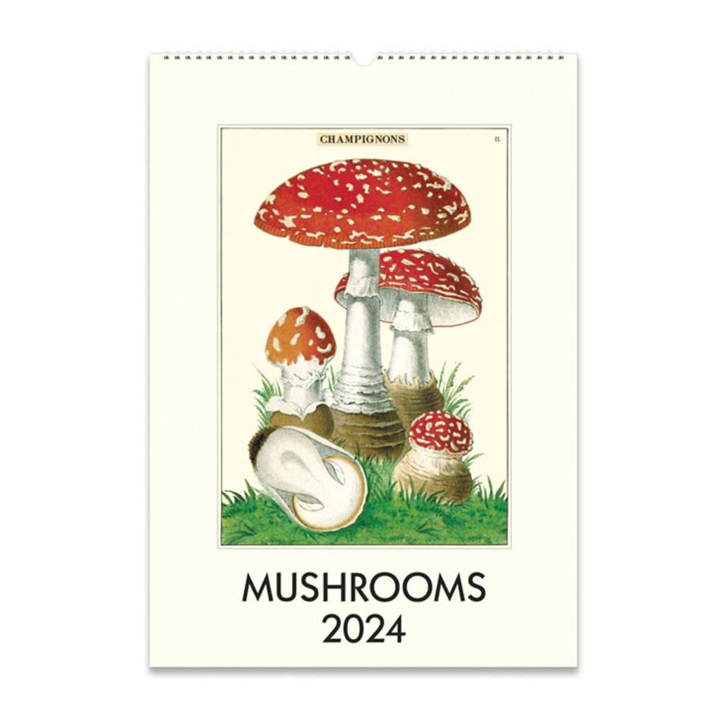 cavallini 2024 Mushrooms Wall Calendar