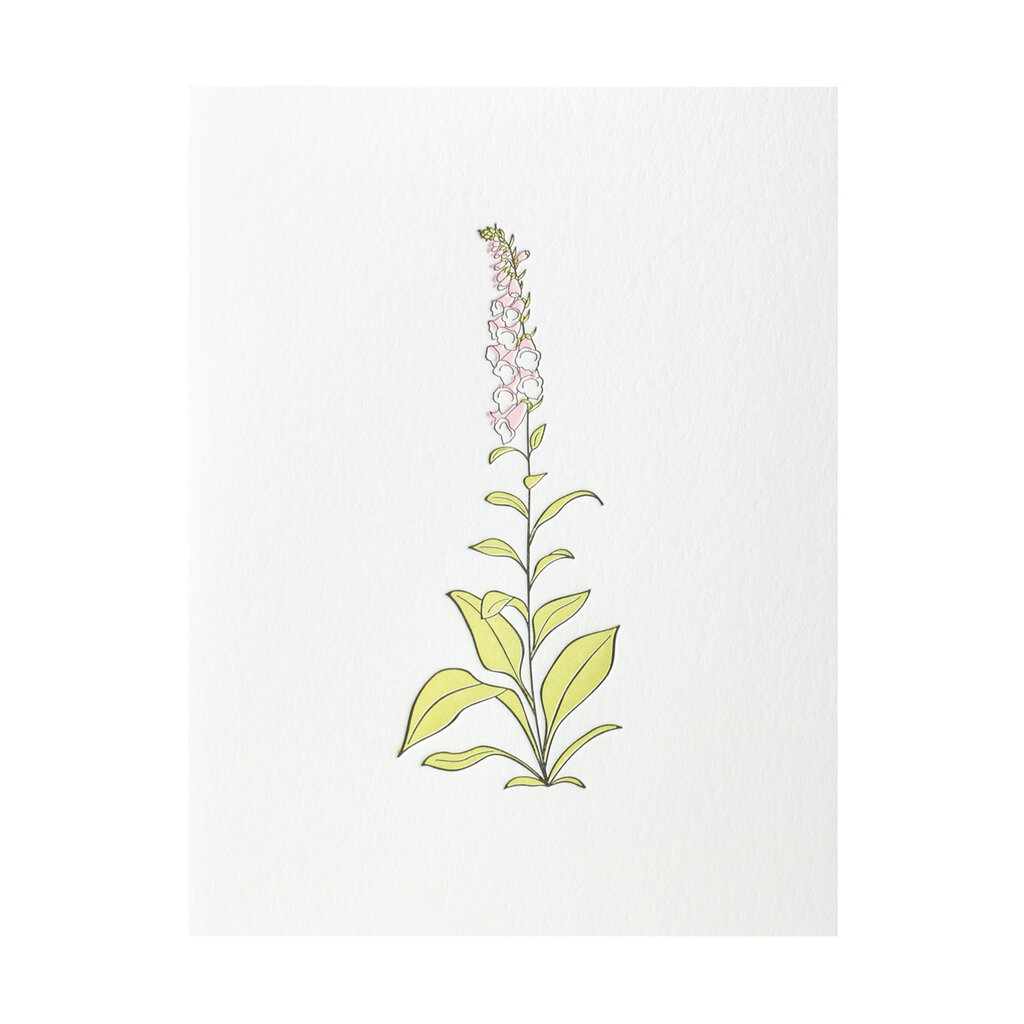 Green Bird Press Foxglove Wildflower Letterpress Card