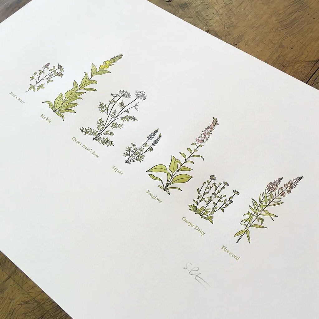 Green Bird Press A Few Wildflowers Letterpress Print