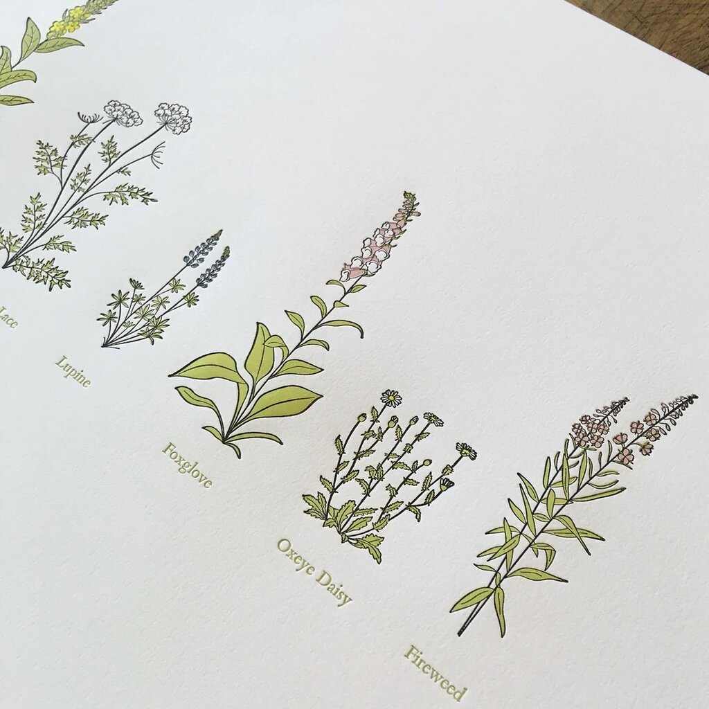 Green Bird Press A Few Wildflowers Letterpress Print