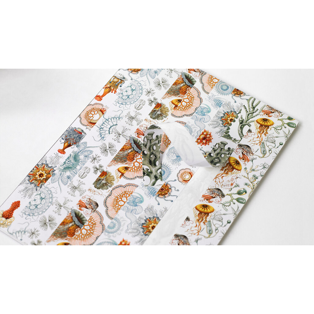 Pepin Label & Sticker Book Art Forms In Nature oblation papers & press