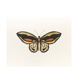 Jonathan Wright Papillon Exotique Folded Box of 8