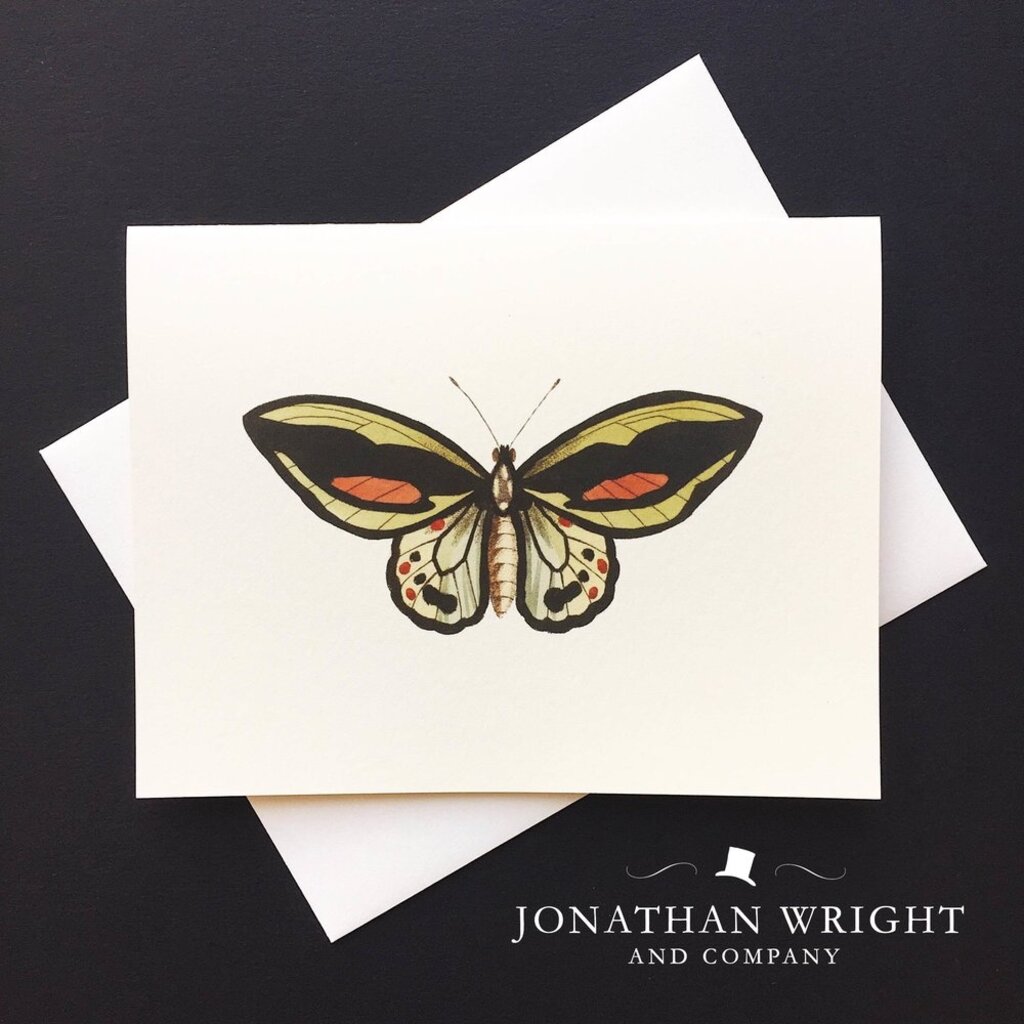 Jonathan Wright Papillon Exotique Folded Box of 8