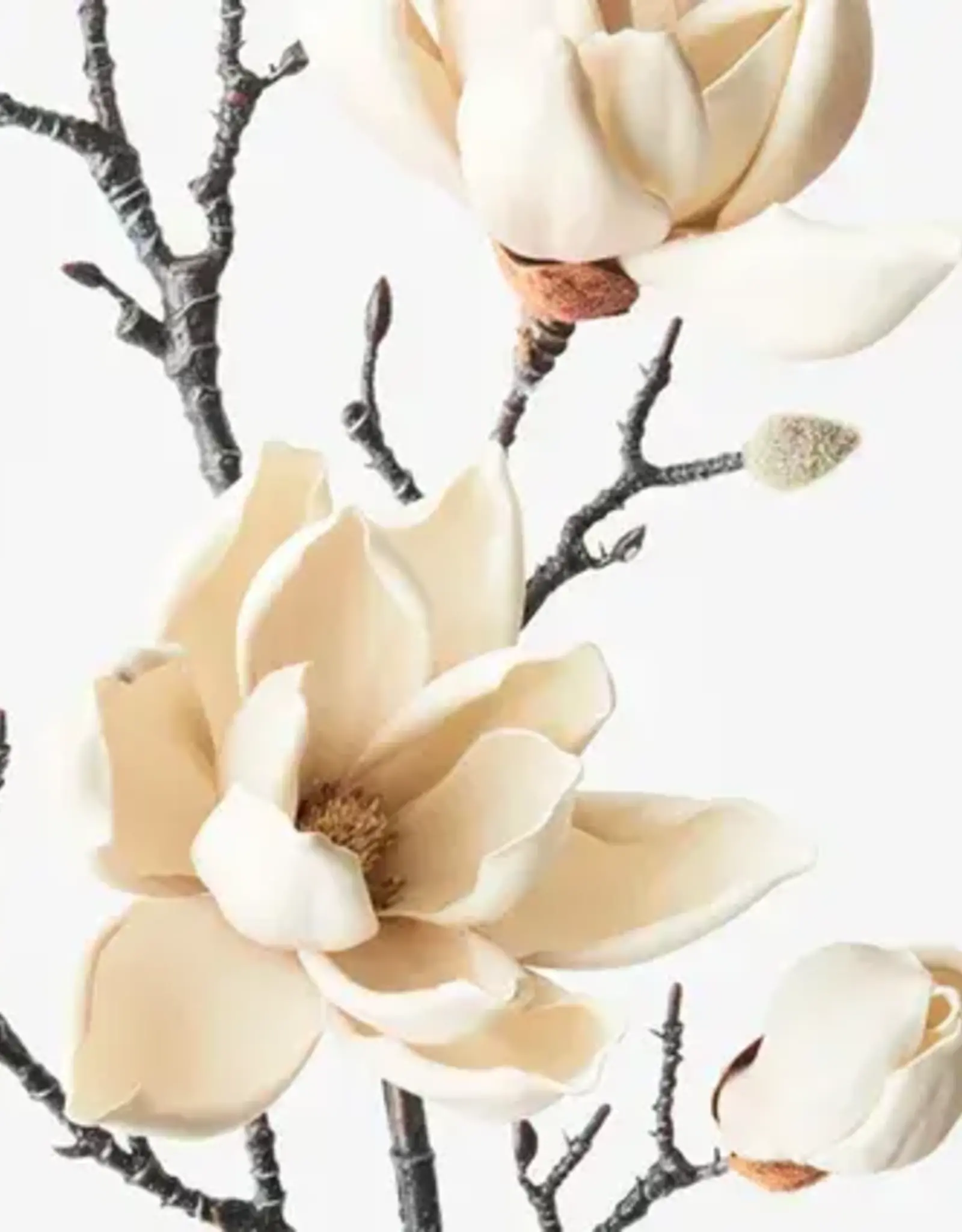 MAGNOLIA JAPANESE SPRAY CREAM