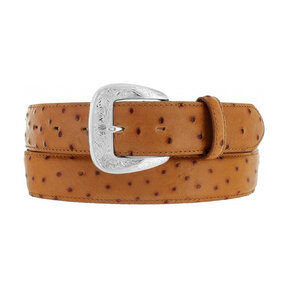 BRIGHTON A 3/8" OSTRICH PRINT BELT 1377L