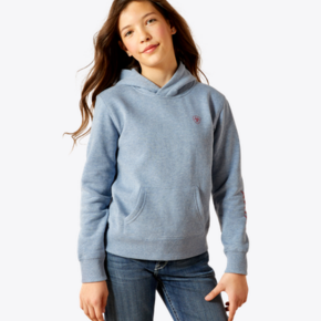 ARIAT 2.0 HOODIE 10065824 X