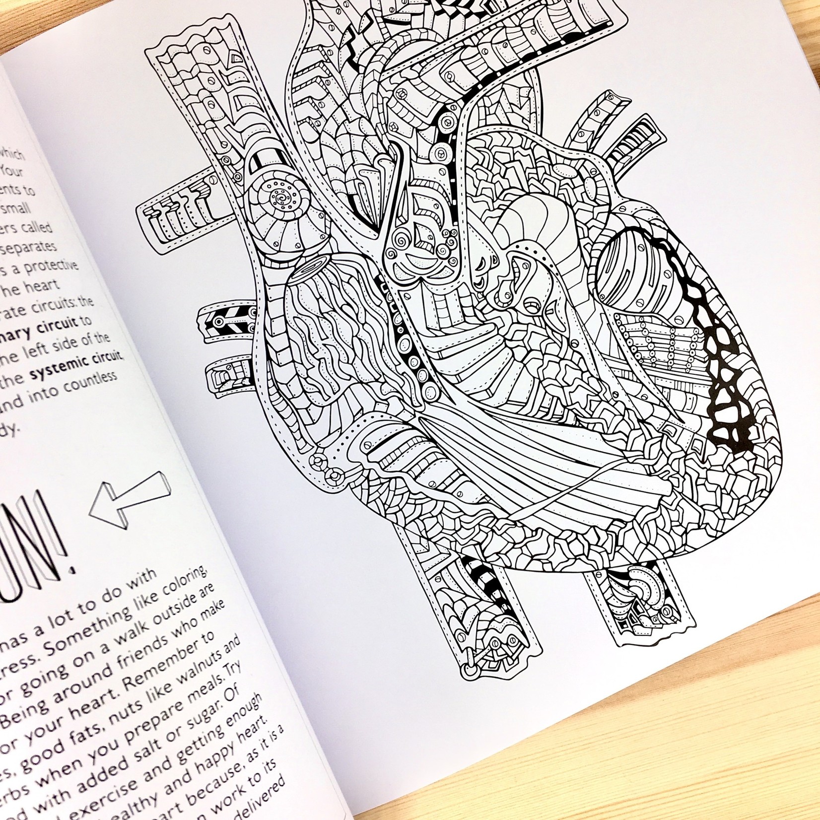 Download Show Me Your Guts Adult Coloring Book Homespun Modern Handmade