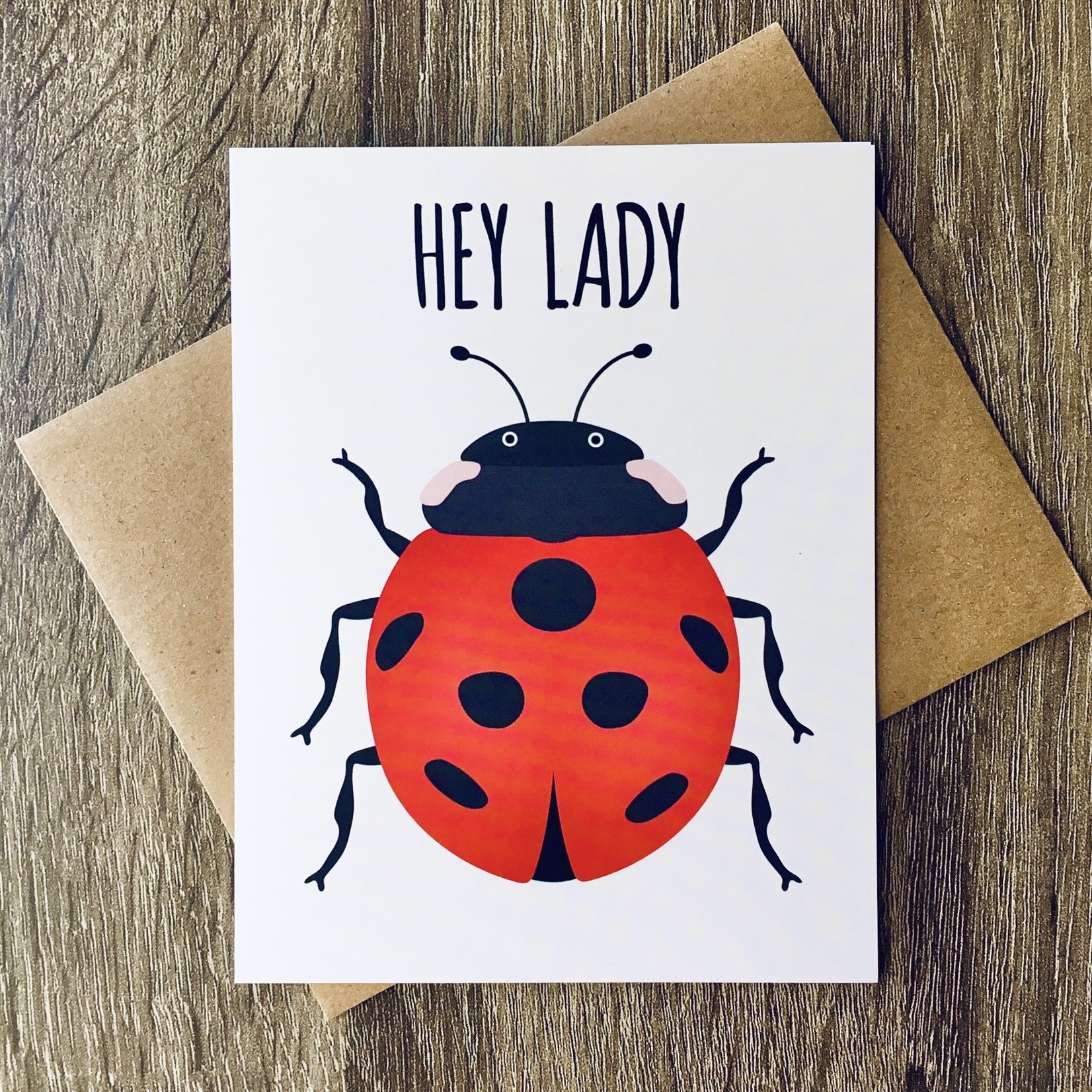 Mr. Sogs Creatures Hey Lady Ladybug Greeting Card