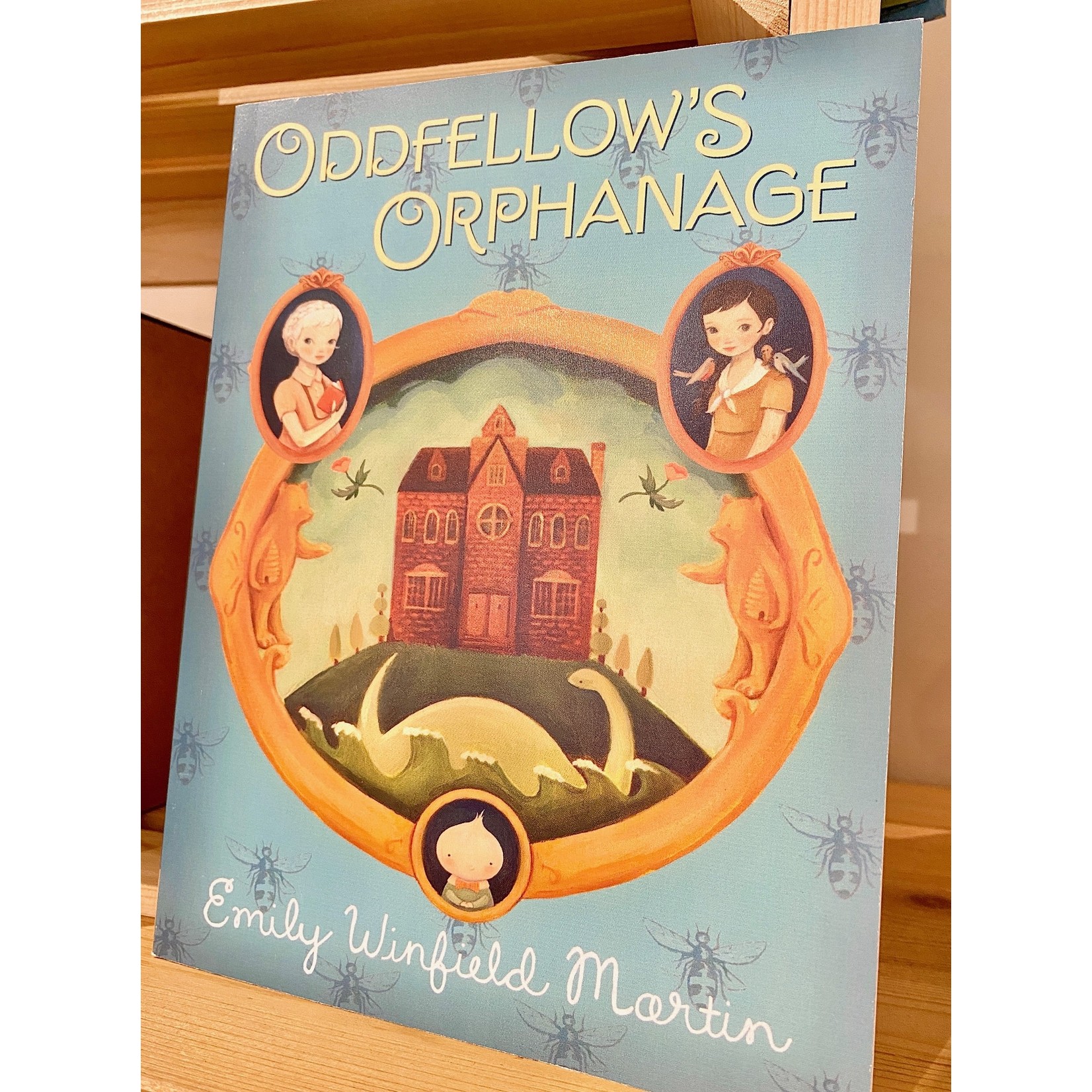 The Black Apple Oddfellow's Orphanage Paperback Novel - Emily Winfield Martin