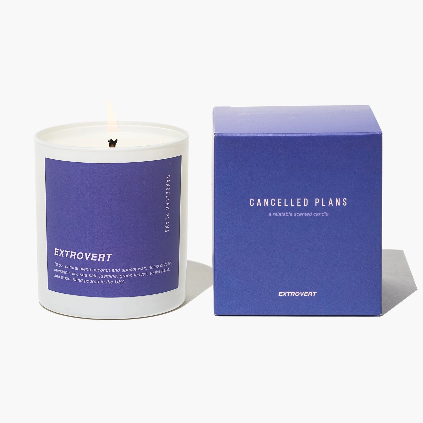 Cancelled Plans Extrovert 10oz. Coconut Wax Candle