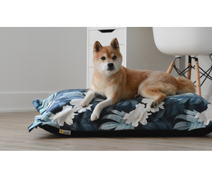 be one breed cloud pillow