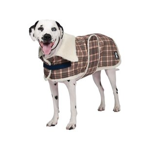 Shedrow K9 Aspen Dog Coat